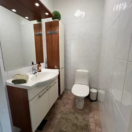 Ihana Paritaloasunto - Sauna, Piha Ja Autokatos - Cozy Semi-detached House With Sauna, Garden And Carport In شقة فآسا